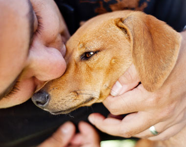 Veterinary Compounding